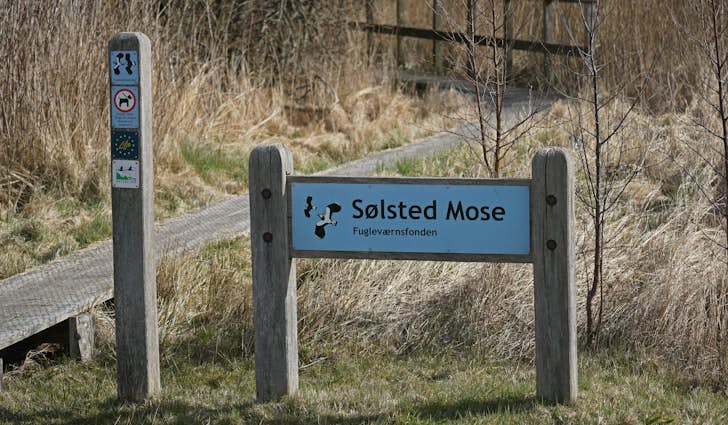 Sølsted Mose